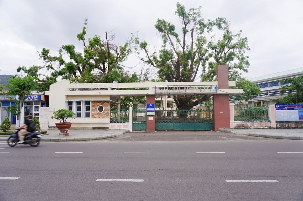 Bất chấp Vingroup xin thôi, đường sắt cao tốc Bắc - Nam có biến chuyển mới - 4