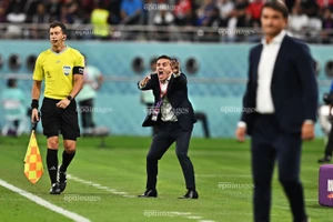 Sốc: Thầy mới của Indonesia đánh bại cả Nhật Bản và chủ nhà World Cup