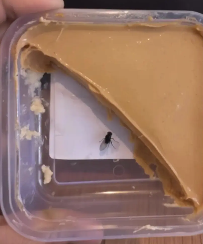 Bức ảnh chiếc bánh ngọt được AI thêm con ruồi vào giữa. Ảnh: Facebook/Ninis Kitchen