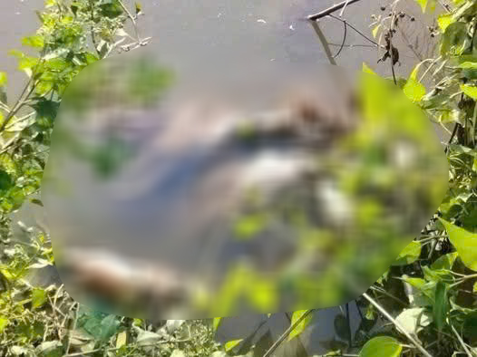 Vụ nữ sinh lớp 7 bị sát hại: Nghi phạm có thể đối mặt với hình phạt nào? - Ảnh 2.