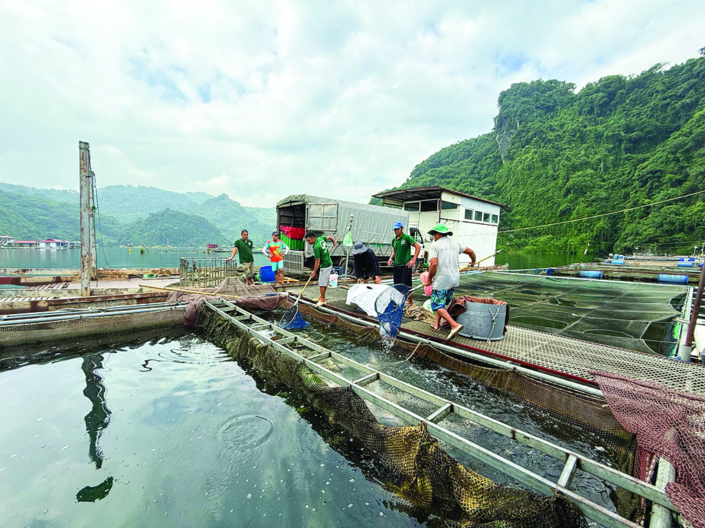 Về xứ Mường: 'Quái ngư' sông Đà trong cỗ lá Mường - Ảnh 2.