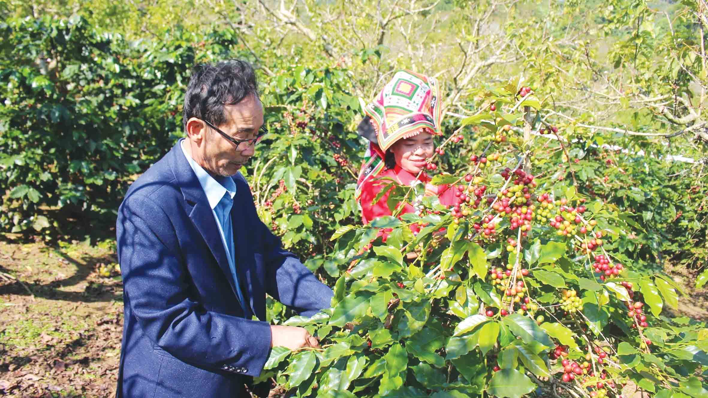 An sinh xã hội - 'điểm tựa' vững chắc cho hàng triệu người dân 2 An sinh xã hội - “điểm tựa” vững chắc cho hàng triệu người dân - Ảnh 2.