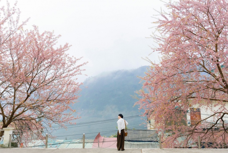 Thời tiết Tuyên Quang những ngày đầu năm mới khoảng 17-20 độ C, trời se lạnh nhưng khô ráo, thuận tiện cho du khách tới tham quan, chụp hình ngoài trời