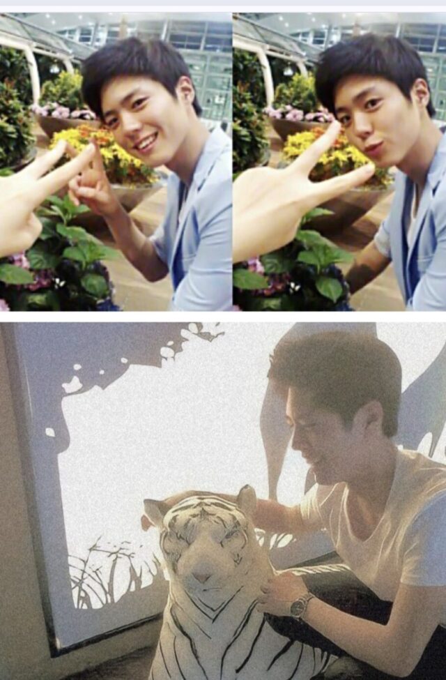 Bí mật động trời của Park Bo Gum vừa bị tiết lộ- Ảnh 7.