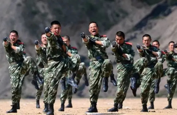 Quân thể quyền - môn võ Trung Quốc giàu thực chiến hơn kung fu - Ảnh 2.