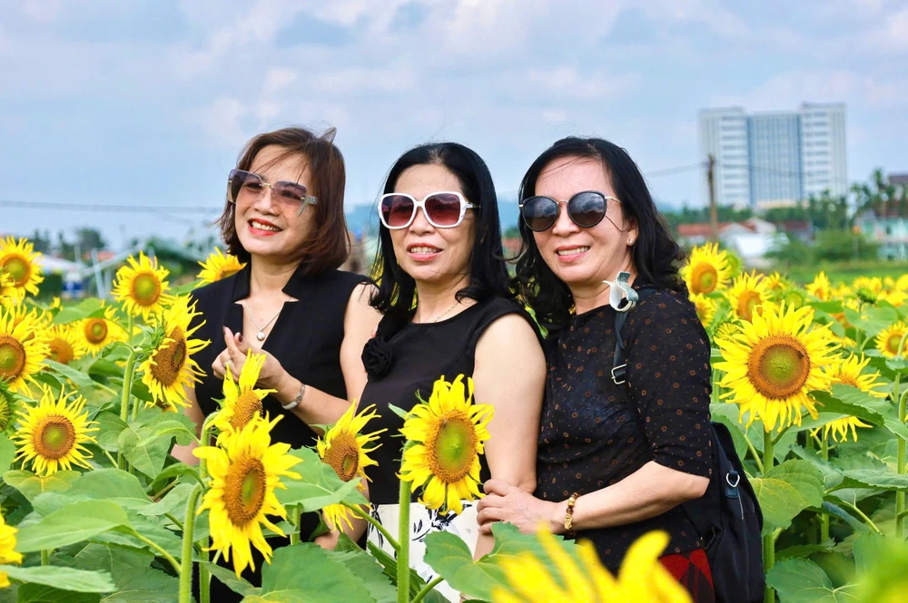 trieu-bong-huong-duong-no-ro-tu-khu-dat-hoang-o-quang-ngai- (18).jpg