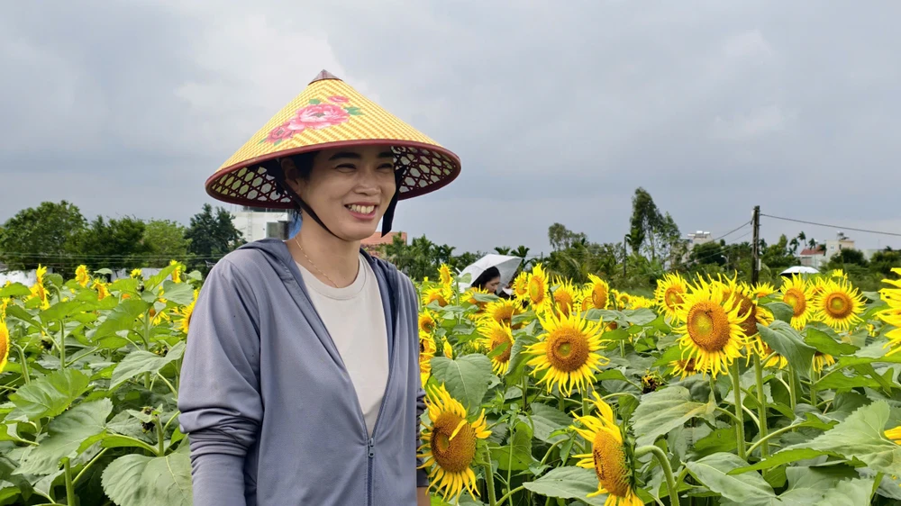 trieu-bong-huong-duong-no-ro-tu-khu-dat-hoang-o-quang-ngai- (13).jpg