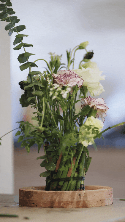 Không gửi bố mẹ vào viện dưỡng lão, tôi tự tạo một 