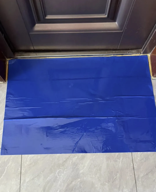 Ngày càng nhiều người từ biệt thảm chùi chân trước cửa, không phải tiết kiệm mà vì quá phiền- Ảnh 9.