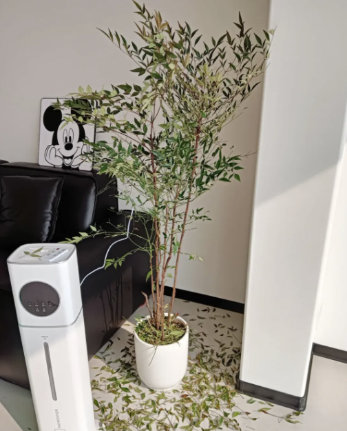 Buông bỏ là thượng sách: Tôi da diết khuyên bạn thẳng tay vứt 8 món 