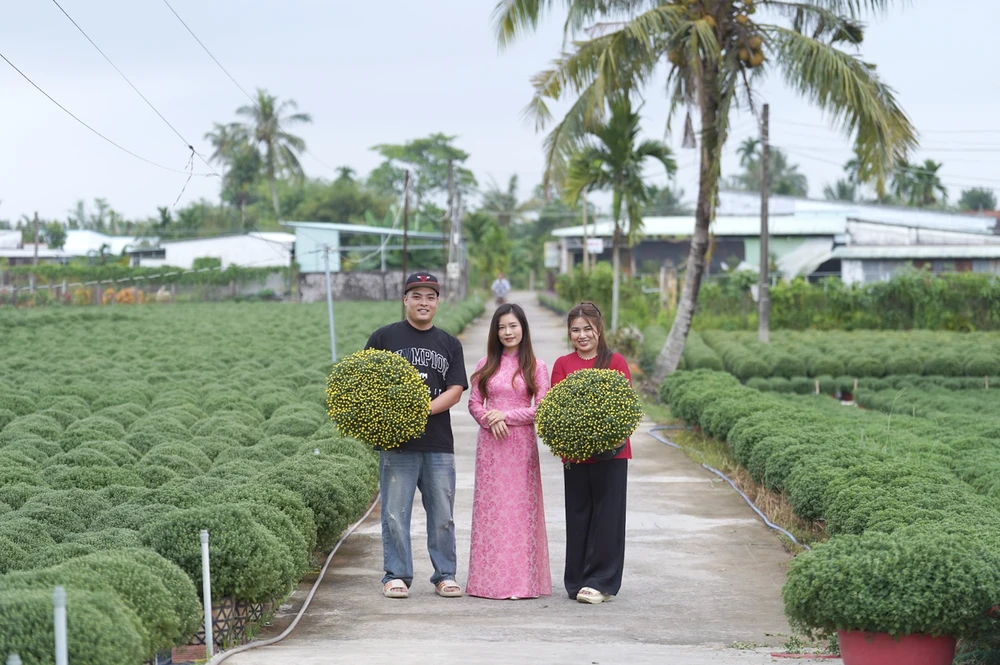 Chị Hồ Thị Mộng Thơ đặt mục tiêu bán hết 30.000 chậu cúc mâm xôi trước Tết Nguyên đán. Ảnh: THU HÀ livestream_hoatet.png