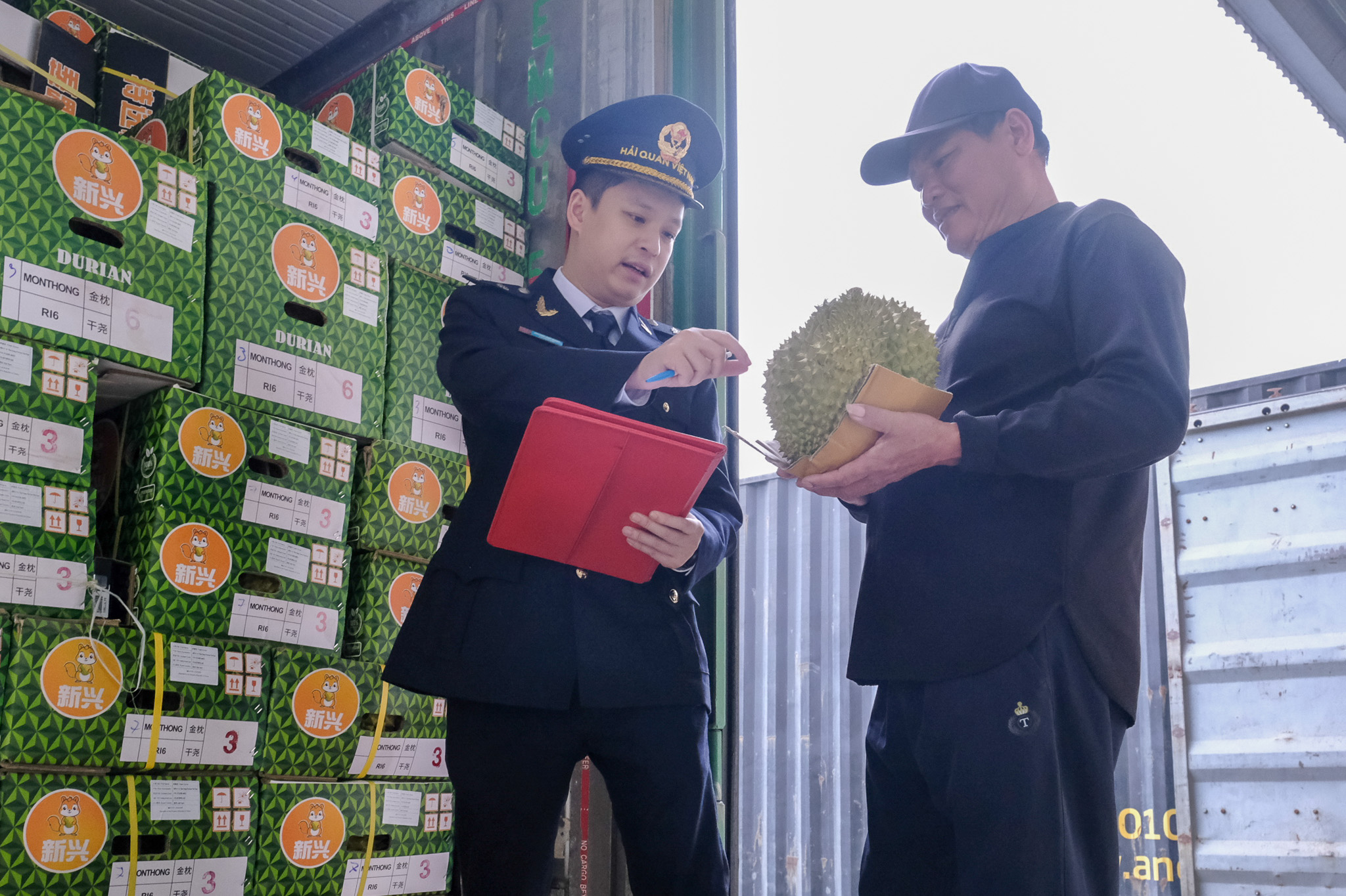 Trung Quốc tăng nhập sầu riêng Việt Nam, ngôi vương của Thái Lan bị đe dọa - Ảnh 3.