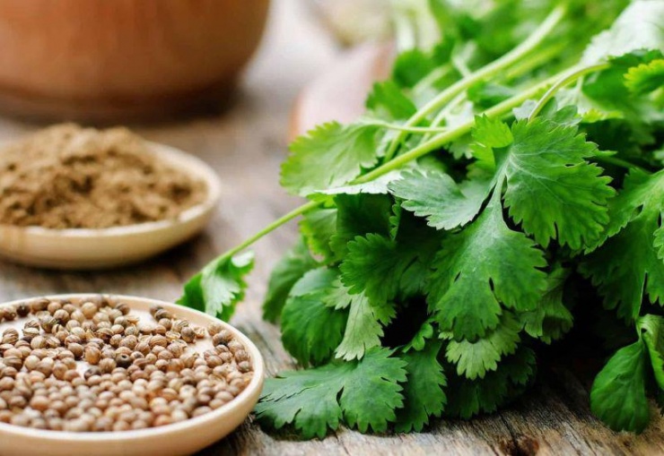 Hạt rau mùi hỗ trợ sản xuất nước tiểu, giảm tình trạng giữ nước và giảm gánh nặng cho thận.