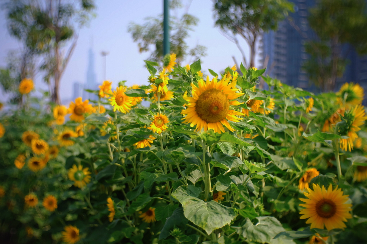 Những điểm check-in Những điểm check-in