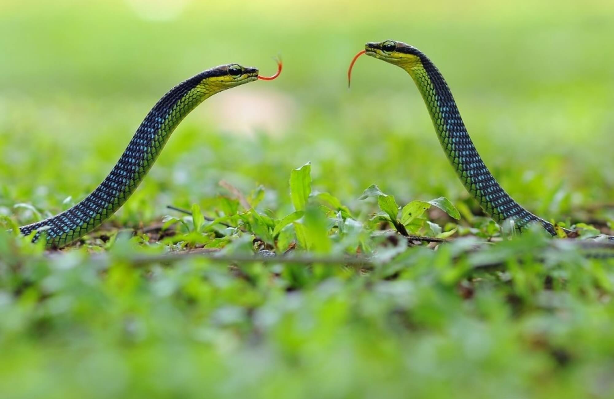 4 vị trí trong nhà dễ 