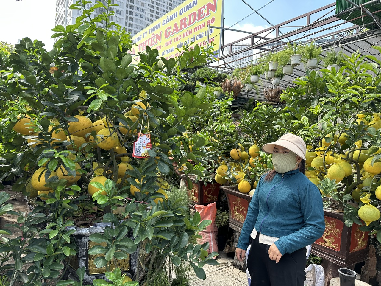 Hoa tết tấp nập xuống phố, giá không tăng - Ảnh 2.