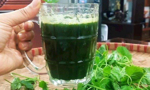 Ăn gì khi bị nhiệt miệng nhanh khỏi và ngừa tái phát? 4 Bệnh nhân bị nhiệt miệng có thể uống nước rau má trong vài ngày, cảm giác đau xót sẽ biến mất.