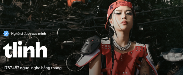 Nghệ sĩ Việt đỉnh nhất Spotify hiện tại: Không phải Sơn Tùng M-TP hay HIEUTHUHAI- Ảnh 9.