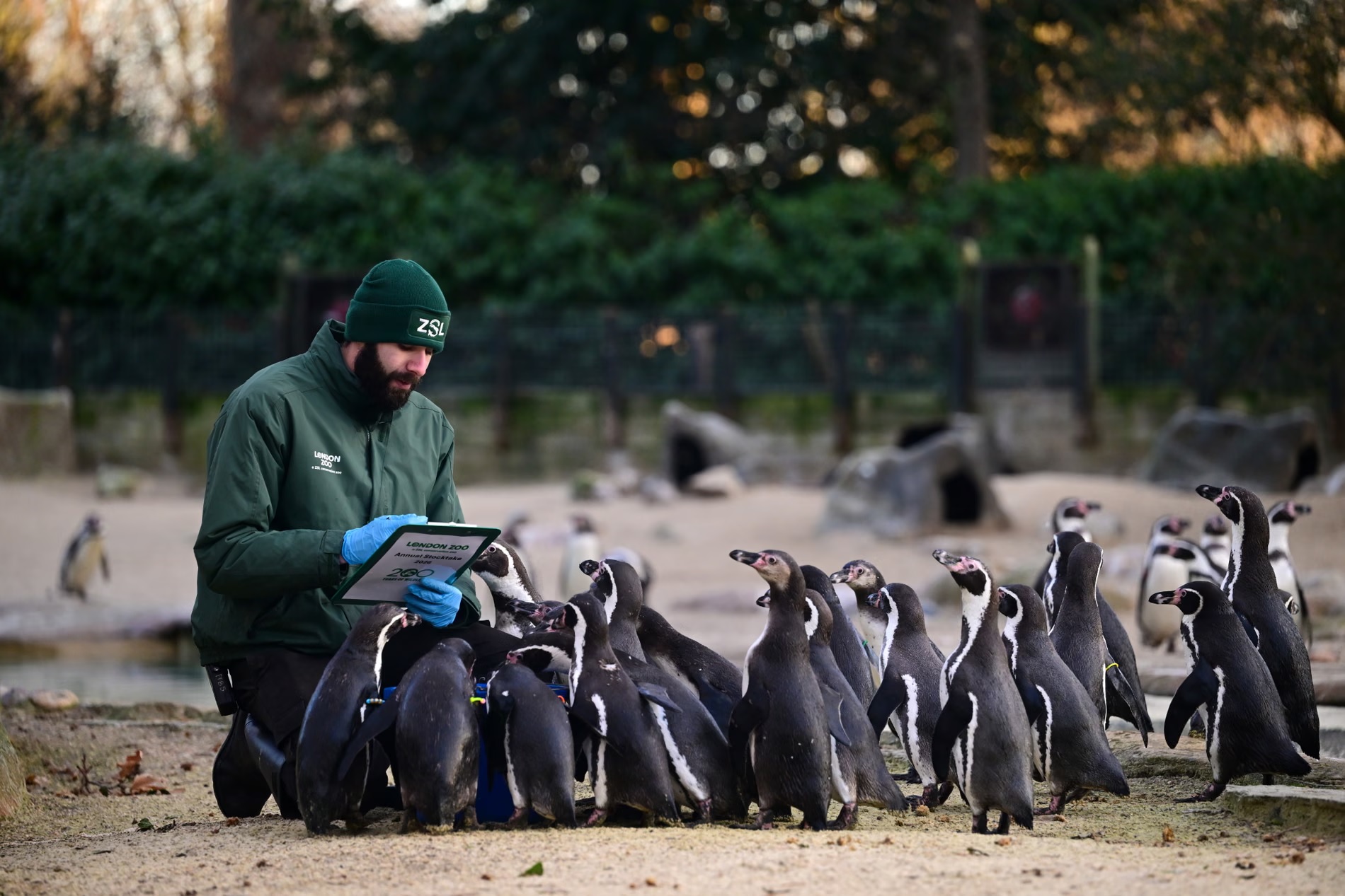 Tin tức thế giới 8-1: Mỹ rút khỏi 66 tổ chức quốc tế; Venezuela mua hàng hóa Mỹ 3 Tin tức thế giới 8-1: - Ảnh 1.