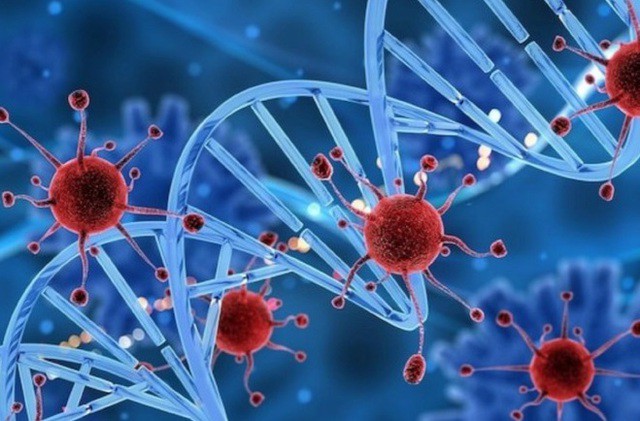 5 vị trí tế bào ung thư dễ đột nhập, người Việt nên hiểu đúng để ngừa bệnh từ sớm 8 Ảnh minh họa.