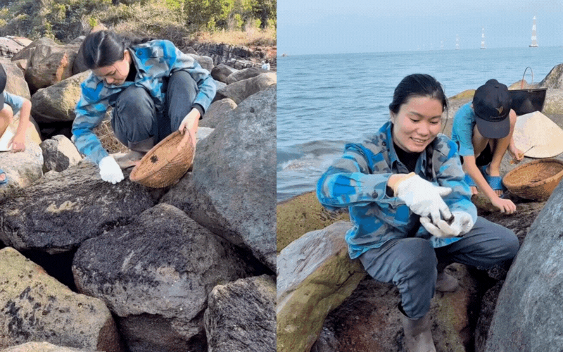 Đặc sản đen sì bám chặt vách đá: Thứ 