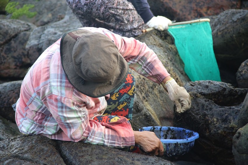 Đặc sản đen sì bám chặt vách đá: Thứ 