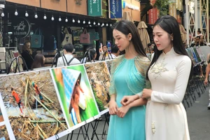 Đường sách TP.HCM được tái lập bãi giữ xe trên vỉa hè phục vụ bạn đọc 