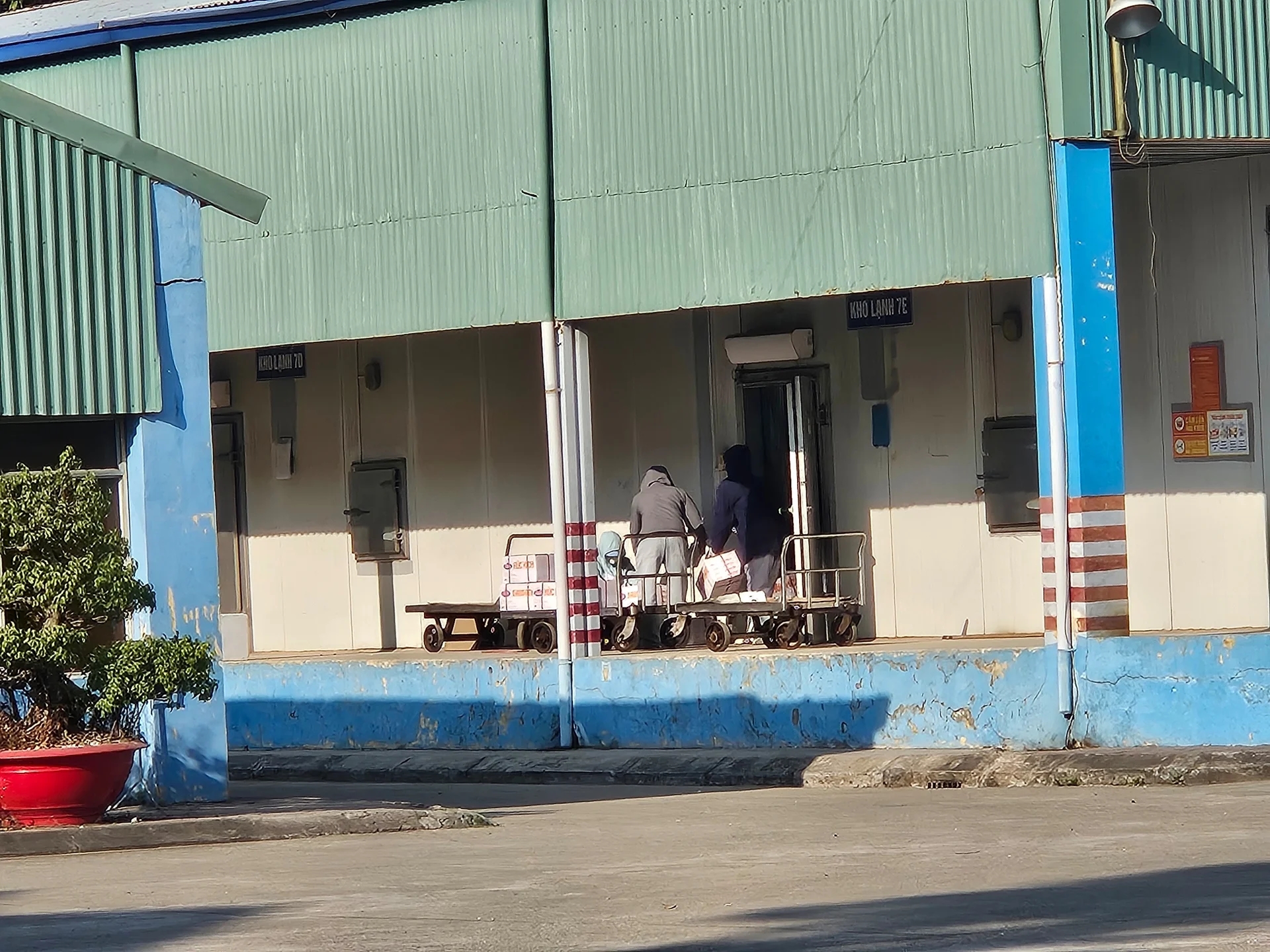 Vụ phát hiện 120 tấn thịt lợn nhiễm bệnh: Cán bộ Công ty CP đồ hộp Hạ Long nói đúng 5 từ về tình hình hoạt động hiện tại- Ảnh 2.