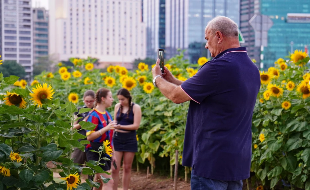 Công viên Sáng tạo - CVien bờ sông SG - QUỲNH DIỆP (13).jpg