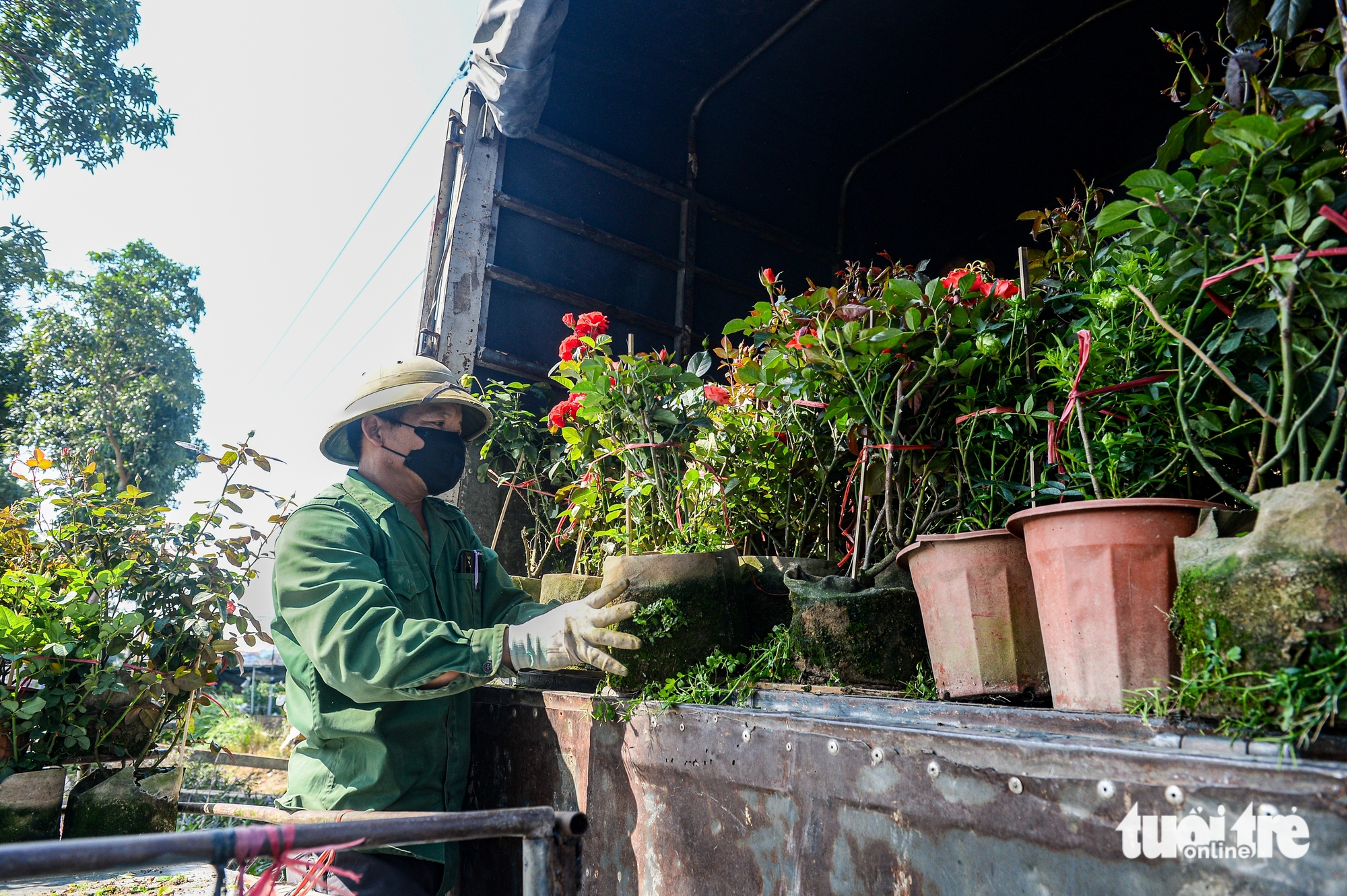 Thủ phủ hoa Mê Linh vào vụ Tết, giá hoa dự báo tăng - Ảnh 7.