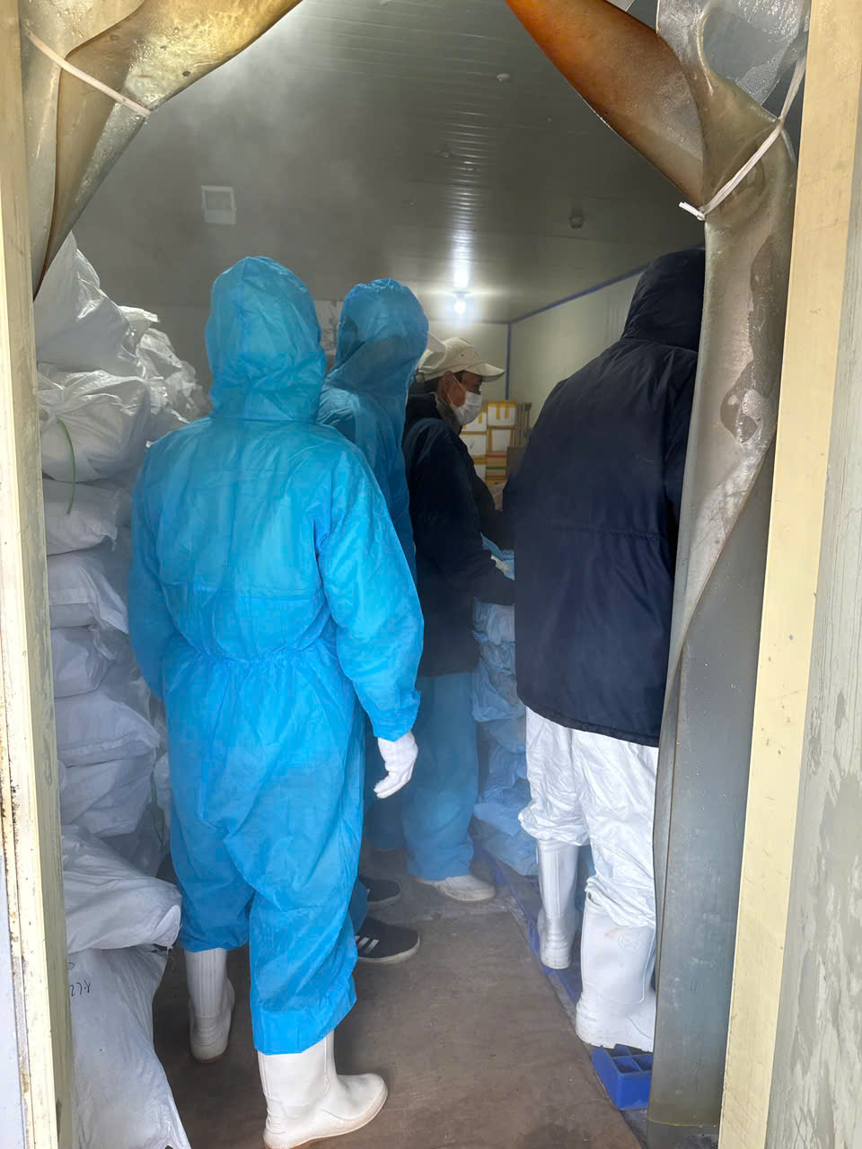 Danh tính 9 người bị khởi tố trong vụ hơn 130 tấn thịt heo nhiễm bệnh liên quan Đồ hộp Hạ Long 3 Danh tính 9 người bị khởi tố trong vụ hơn 130 tấn thịt heo nhiễm bệnh liên quan Đồ hộp Hạ Long - Ảnh 3.