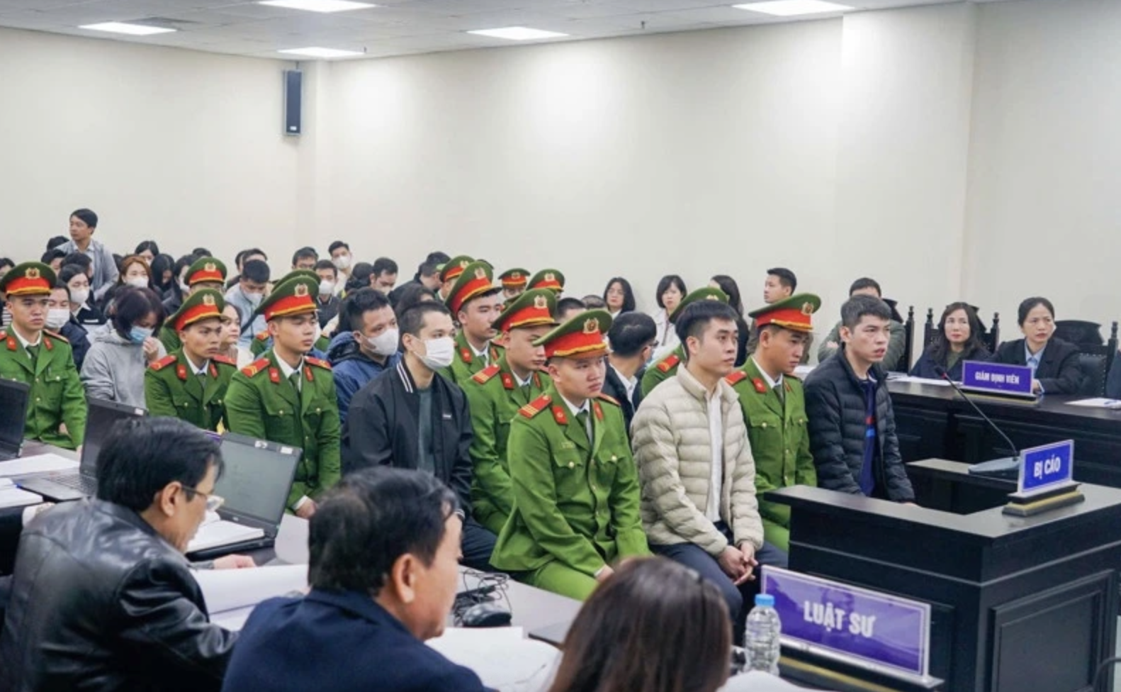 Nói lời sau cùng, Tổng giám đốc Z Holding xin lỗi khách hàng đã dùng sữa 