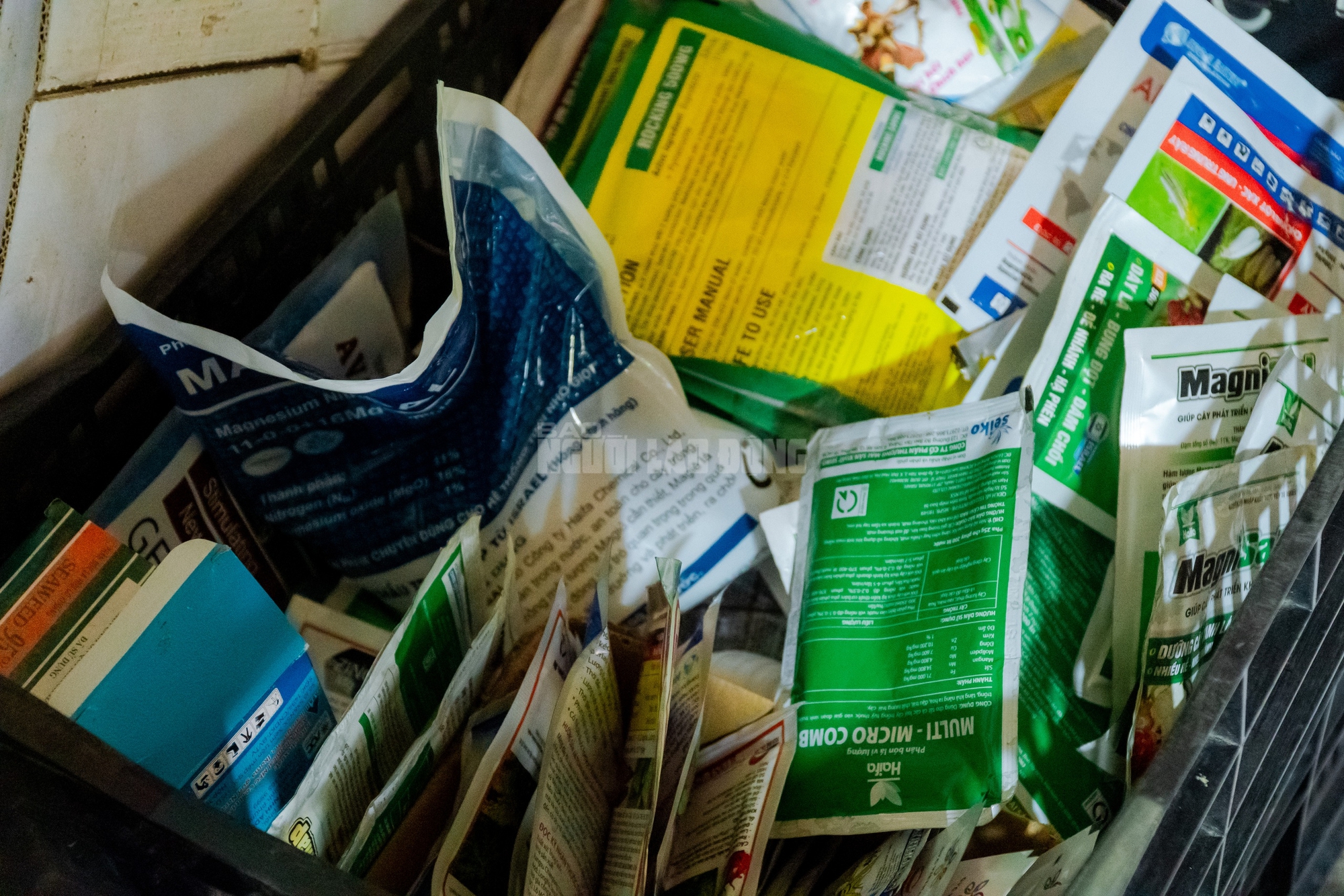 Nông dân làng hoa Thới An thấp thỏm với hoa Tết 18 VIDEO: Nông dân làng hoa Thới An tất bật mùa Tết, khó định giá hoa xứng công - Ảnh 24.