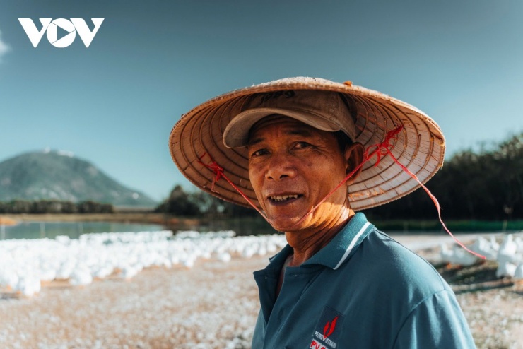 Đàn vịt đồng trắng như tuyết phủ kín cánh đồng dưới chân núi Bà Đen 6 Mỗi ngày, đàn vịt cứ quấn quýt bên chân ông Hải như hình với bóng, chẳng khác nào những người bạn tri kỷ. (Ảnh: Vũ Khoa)