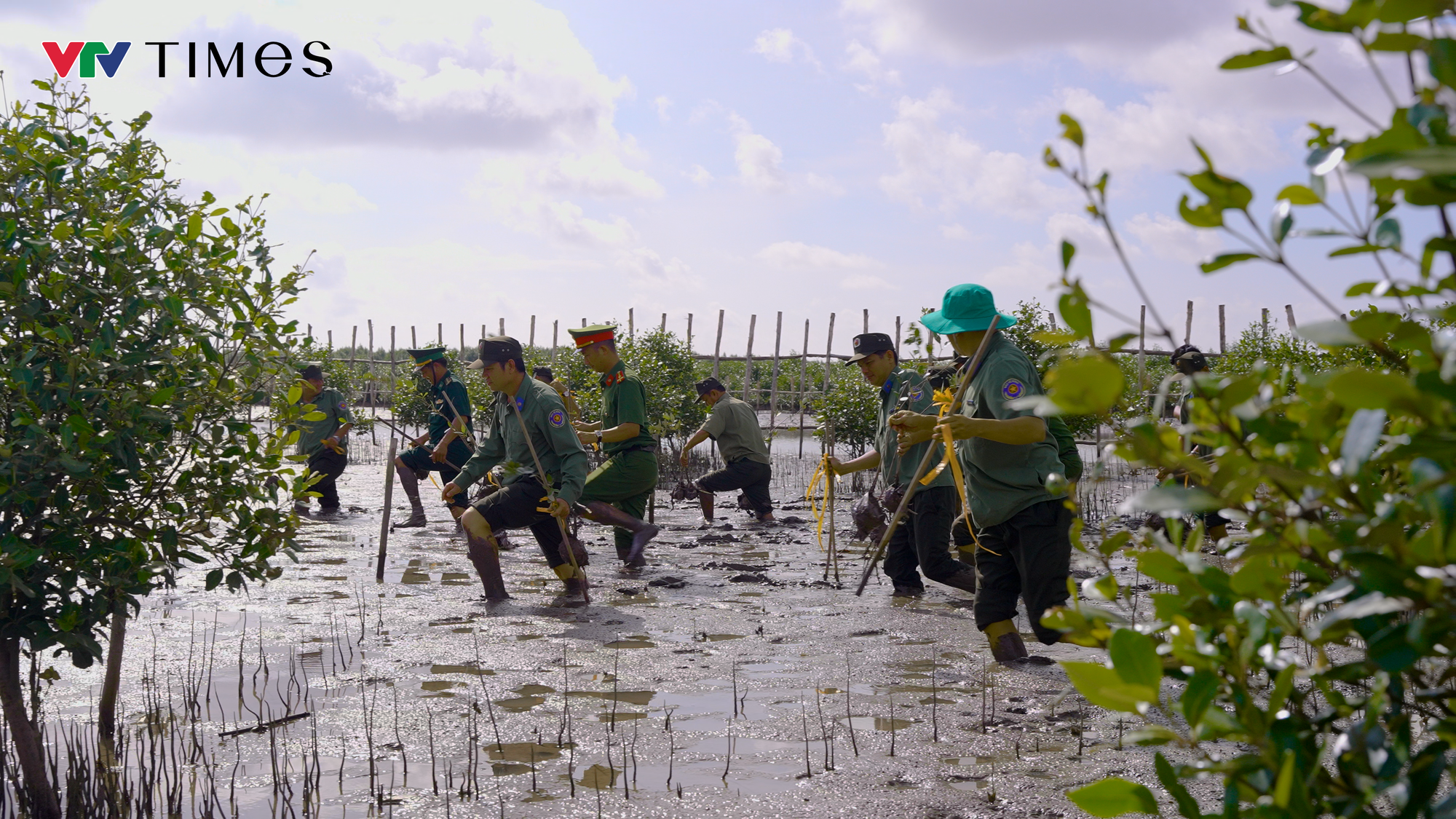 Vườn quốc gia Mũi Cà Mau trước thách thức biến đổi khí hậu- Ảnh 3.
