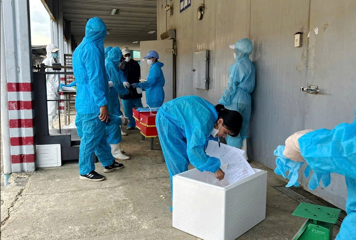 đồ hộp Hạ Long - Ảnh 2.