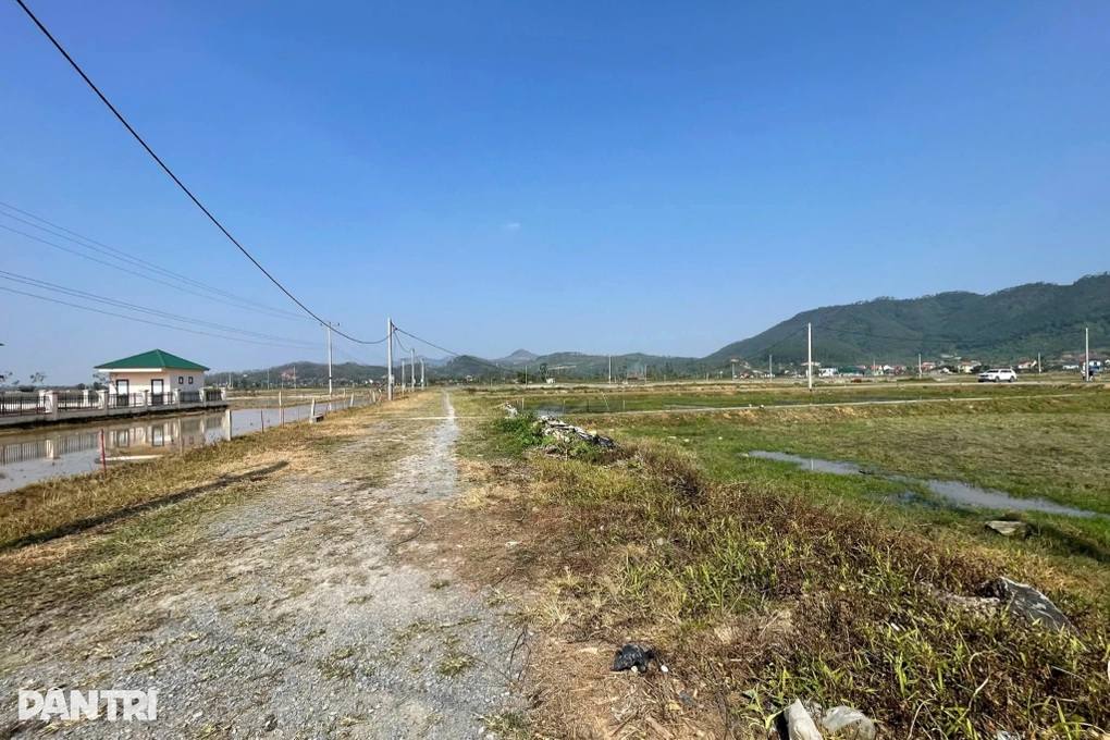 Cảnh khác thường nơi ô tô, dòng người từng nườm nượp đi mua đất ở Nghệ An - 3