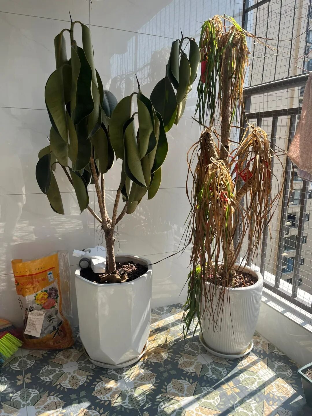 Tha thiết xin bạn: Vứt 7 thứ này ra khỏi nhà, giữ lại chỉ tự làm khổ mình- Ảnh 7.