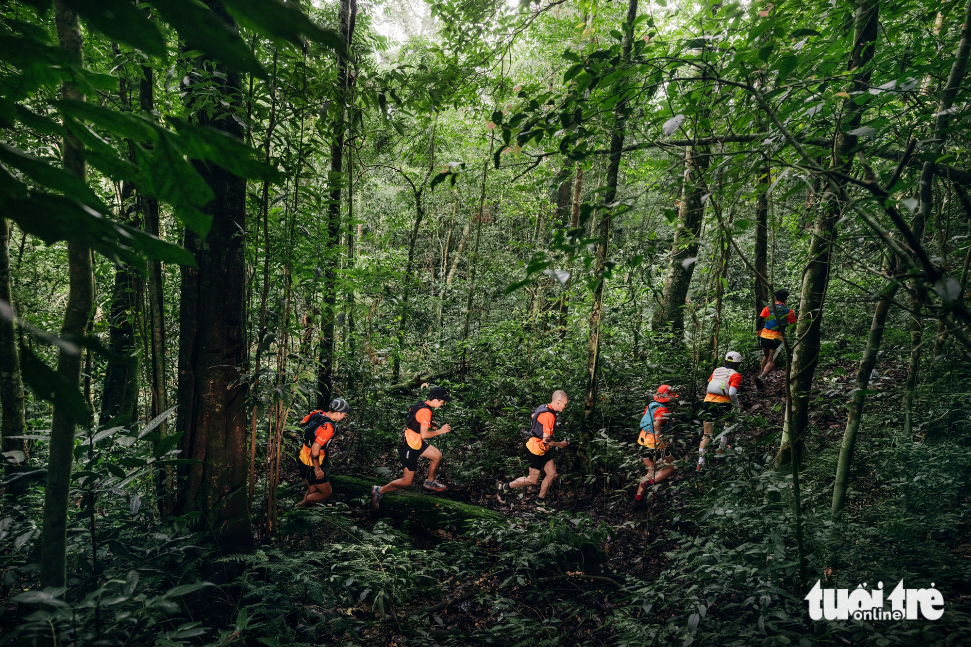 Khởi động giải Vietnam Highlands Trail, lần đầu đạt chuẩn tính điểm UTMB Index, ITRA 3 Vietnam Highlands Trail - Ảnh 3.
