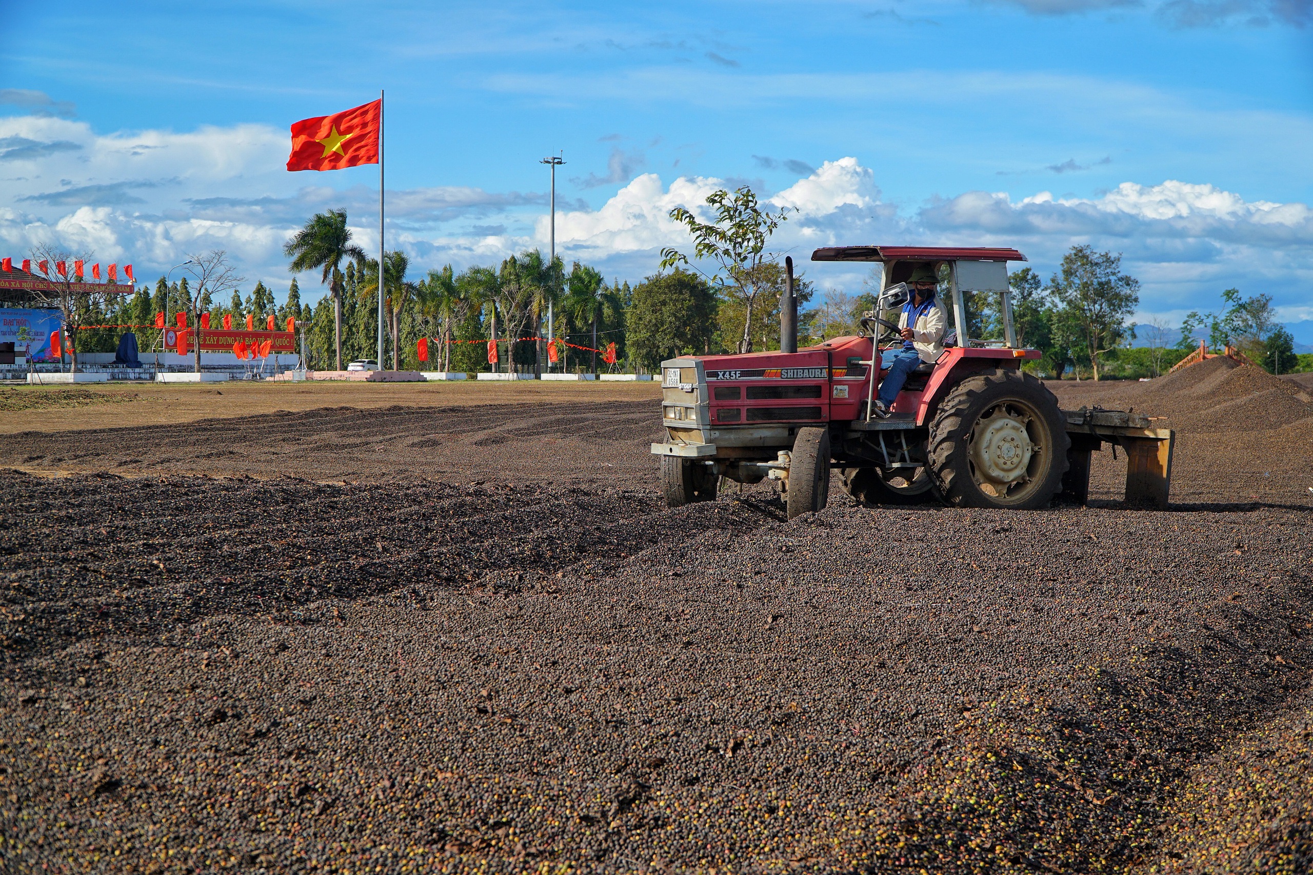 Đẹp hút mắt, mùa phơi cà phê 'phủ nâu' Tây Nguyên đại ngàn 3 Đẹp hút mắt, mùa phơi cà phê 'phủ nâu' Tây Nguyên đại ngàn - Ảnh 4.