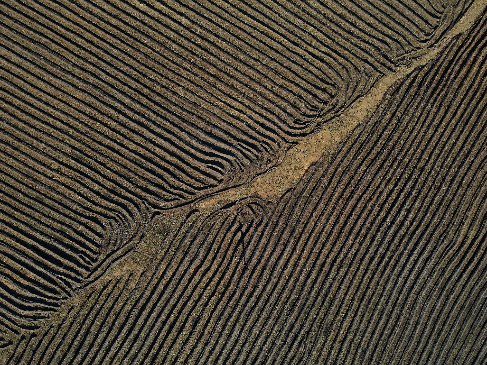 Đẹp hút mắt, mùa phơi cà phê 'phủ nâu' Tây Nguyên đại ngàn 6 cà phê - Ảnh 6.