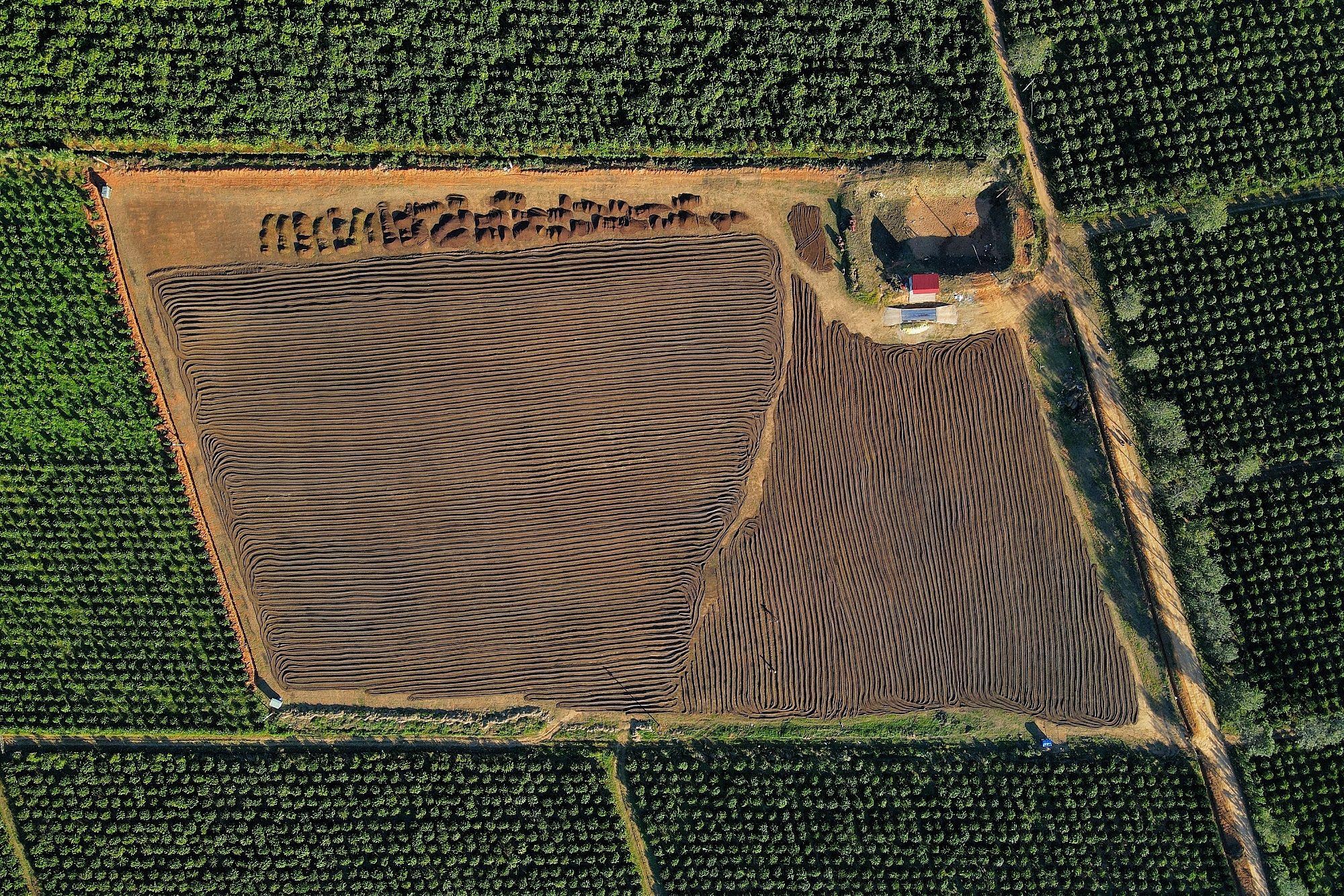 Đẹp hút mắt, mùa phơi cà phê 'phủ nâu' Tây Nguyên đại ngàn 5 cà phê - Ảnh 5.