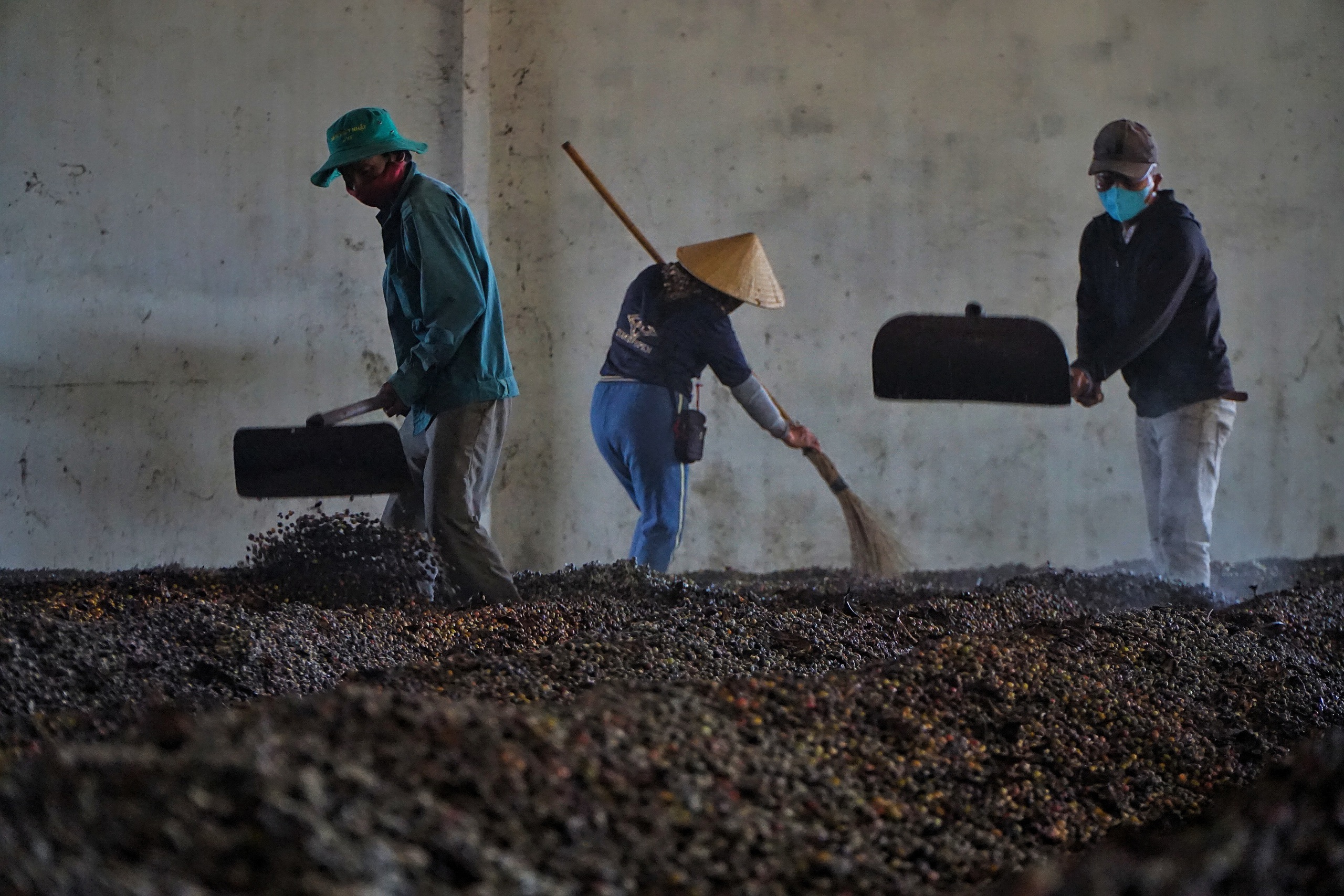 Đẹp hút mắt, mùa phơi cà phê 'phủ nâu' Tây Nguyên đại ngàn 9 cà phê - Ảnh 9.