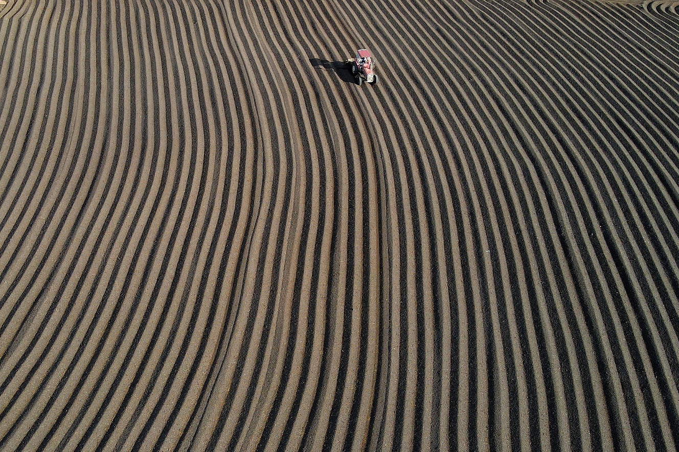 Đẹp hút mắt, mùa phơi cà phê 'phủ nâu' Tây Nguyên đại ngàn 11 cà phê - Ảnh 11.