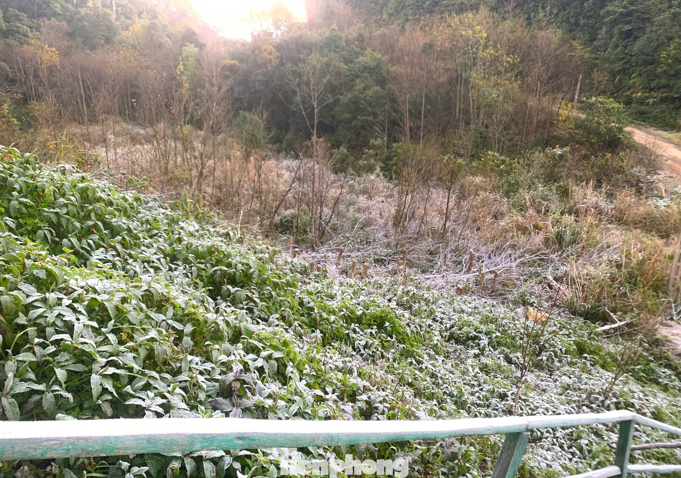 Ngoài Fansipan, Mẫu Sơn, hôm nay băng giá xuất hiện ở cả điểm miền Trung này- Ảnh 3. Ngoài Fansipan, Mẫu Sơn, hôm nay băng giá xuất hiện ở cả điểm miền Trung này- Ảnh 3.