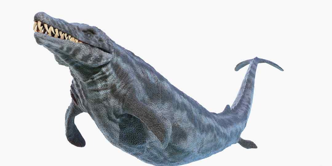 Thung lũng cá voi ở Ai Cập hé lộ hành trình tiến hóa kỳ lạ khi cá voi từng có chân và sống trên đất liền- Ảnh 2.