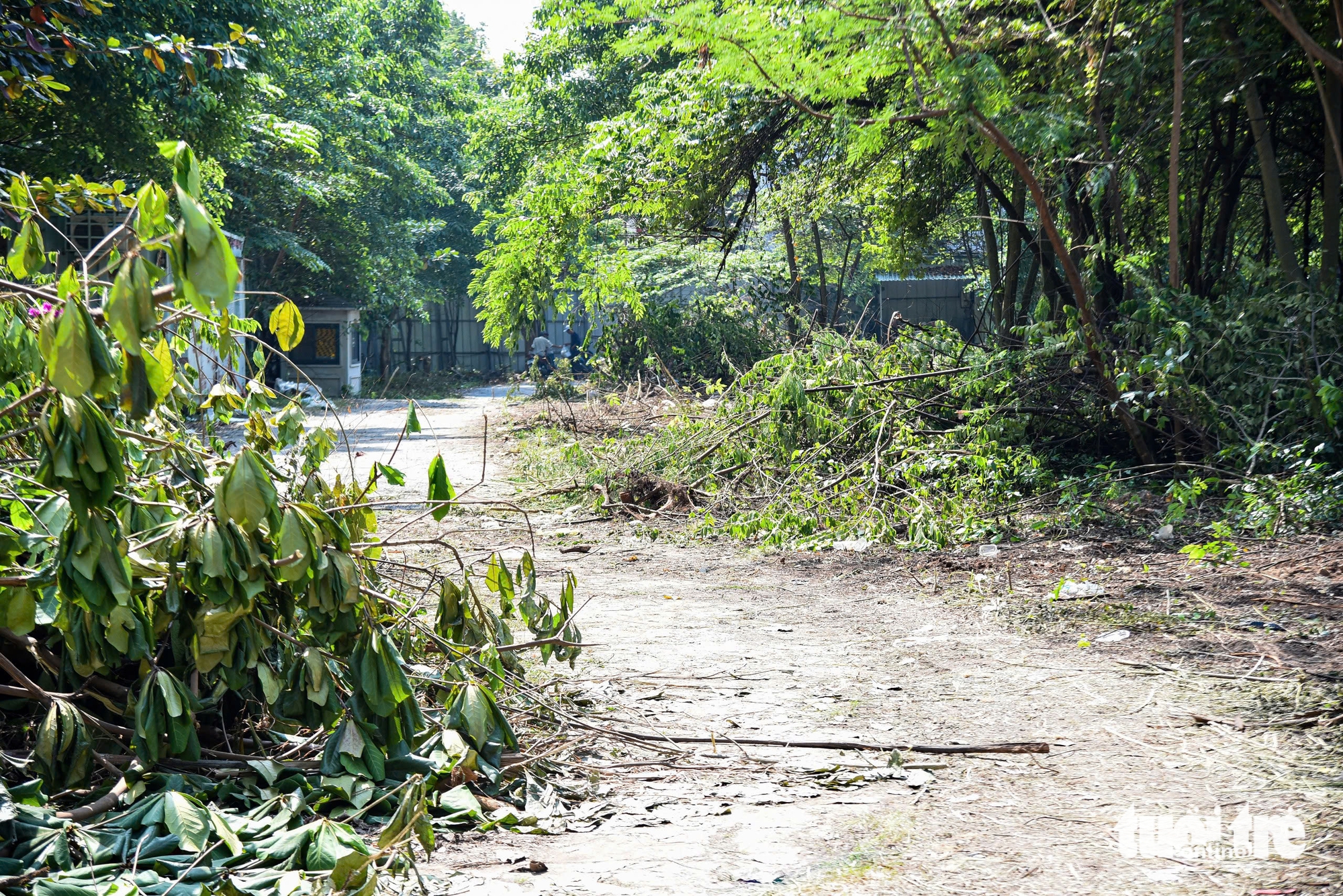 Toàn cảnh 9 khu ‘đất vàng’ trung tâm TP.HCM đang chờ trở thành công viên, vườn hoa Tết - Ảnh 13.