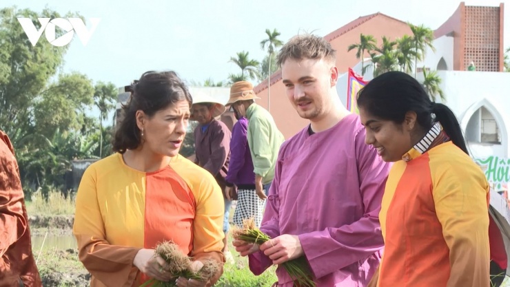 Đến Đà Nẵng, du khách bỏ phố vào làng, “sống thử” đời thôn quê 7 Trải nghiệm nhổ mạ dưới đồng ruộng