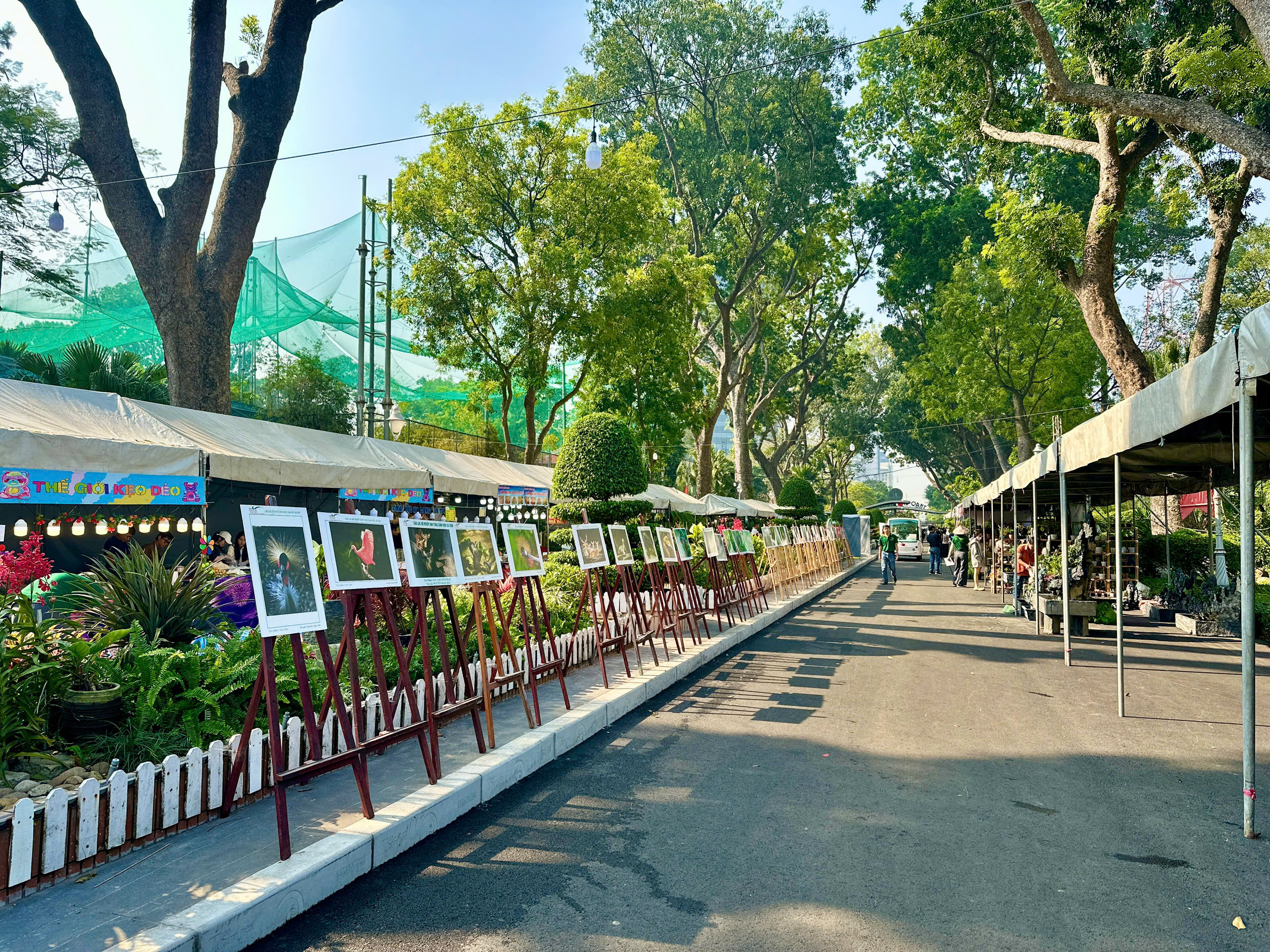 Thông tin nổi bật tại TPHCM ngày 10-1: - Ảnh 4.