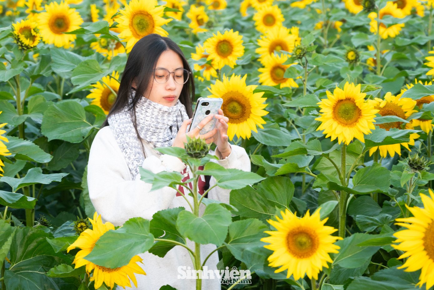 Bất chấp cái lạnh, giới trẻ Hà Nội dậy sớm 'săn' khoảnh khắc vàng bên chân cầu Long Biên - 8